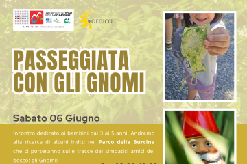 Gnomi Burcina
