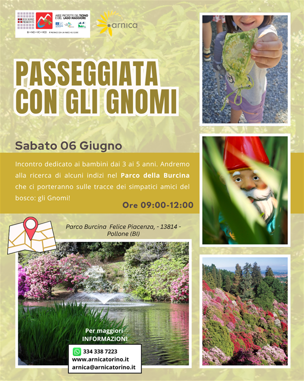Gnomi Burcina
