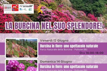 La Burcina nel suo splendore! - Venerdì 12 e domenica 14 giugno