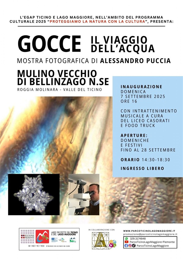 Locandina Puccia