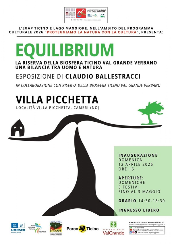 equilibrium picchetta