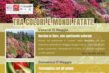 arnica 15-17 maggio