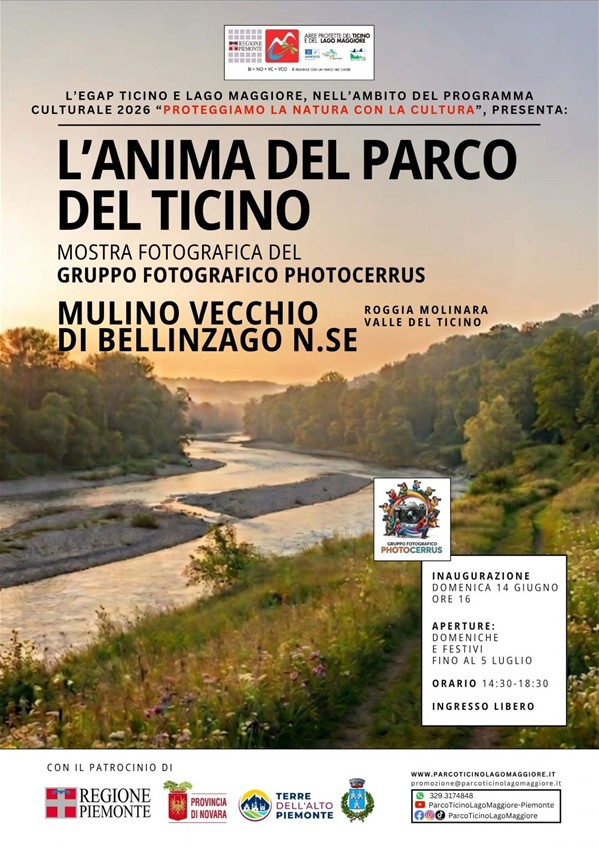 Photocerrus Mulino