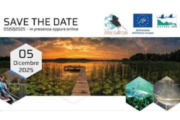 Predatori silenziosi - venerd&#236; 5 dicembre