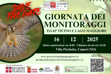 Giornata Monitoraggi - marted&#236; 16 dicembre