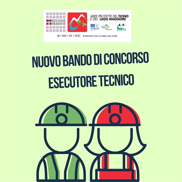 bando esecutore tecnico