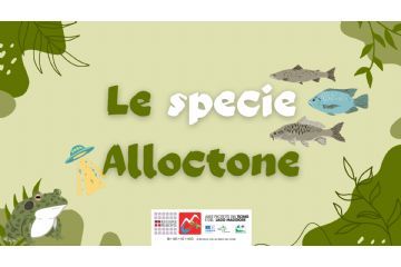 Quiz interattivo - Le specie alloctone del Parco