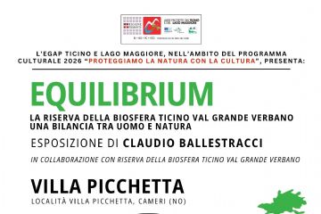 equilibrium picchetta