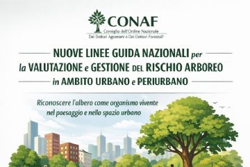 Linee guida nazionali per la valutazione e la gestione del rischio arboreo in ambito urbano e periurbano