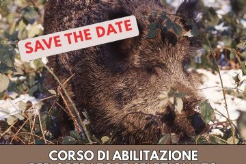 corso operatori cinghiale