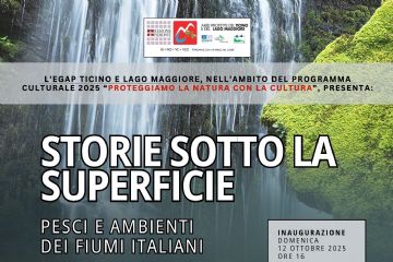 Storie sotto la superficie di Mattia Nocciola – mostra aperta fino al 2 novembre