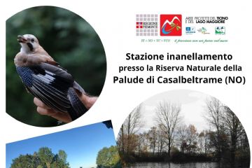 Apertura stazione inanellamento - sabato 18 ottobre