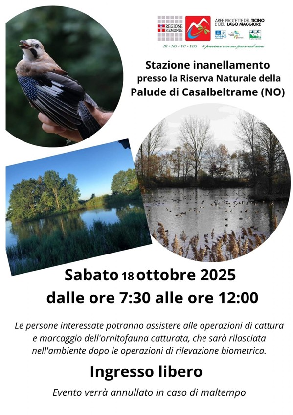 Inanellamento 18 ottobre