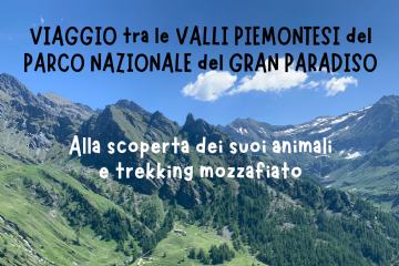 Serata sul Parco Nazionale Gran Paradiso - gioved&#236; 23 ottobre
