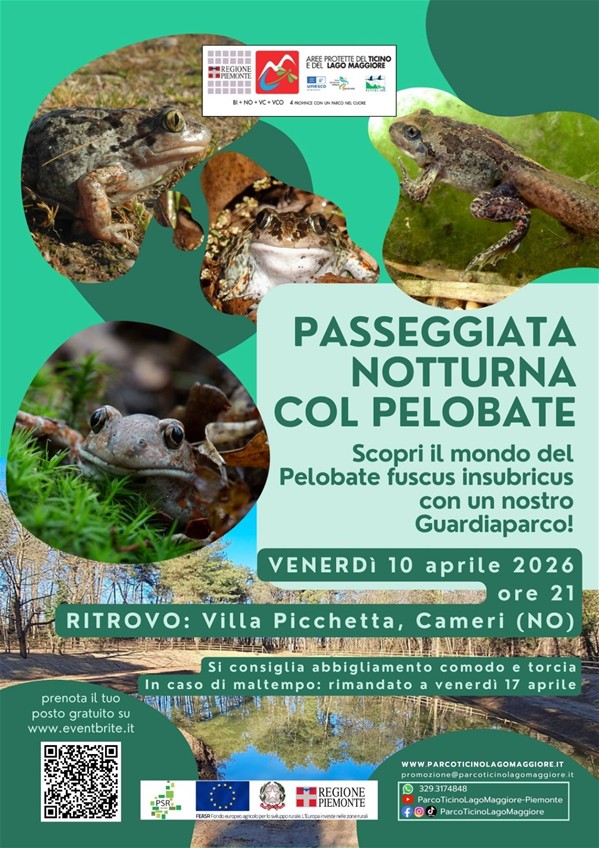 Passeggiata pelobate 2026