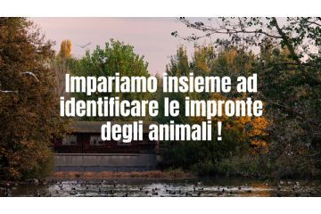Parco Learning - Le impronte