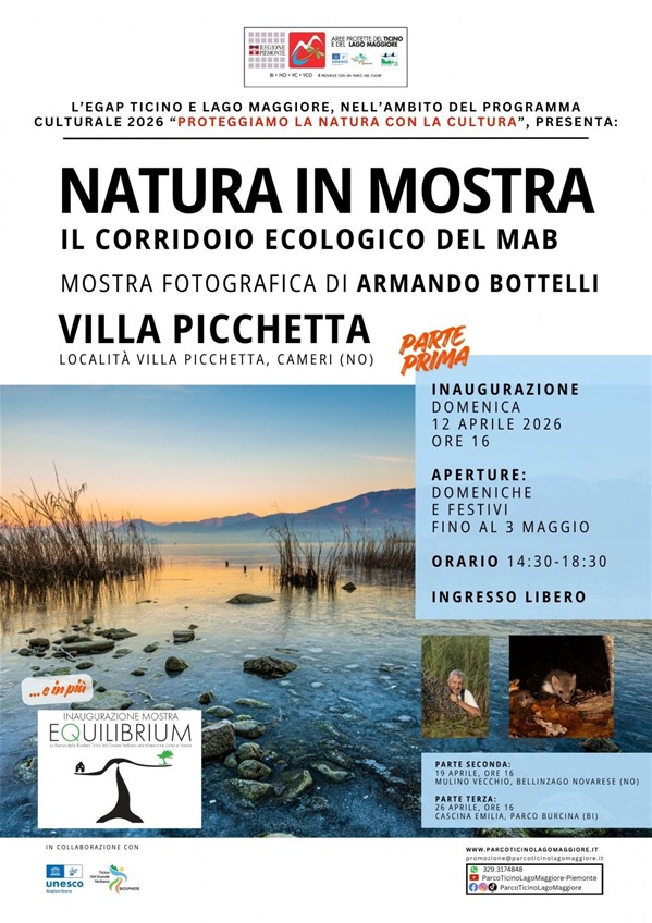 equilibrium picchetta