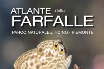 L'Atlante delle farfalle è online!