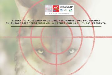 Storie di lupi, cacciatori e bambini con Matteo A. Rubino - Domenica 3 maggio