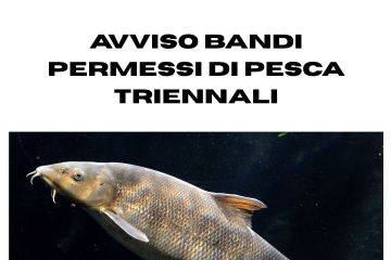 Avviso bandi permesso di pesca triennale