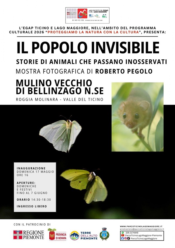 Pegolo Il popolo invisibile