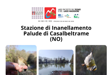 Stazione di Inanellamento Palude di Casalbeltrame (NO)