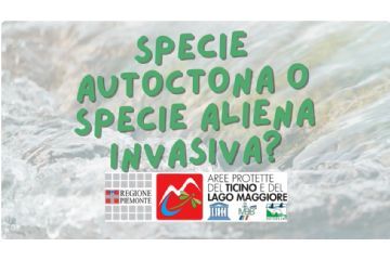 PARCO LEARNING: le specie aliene invasive