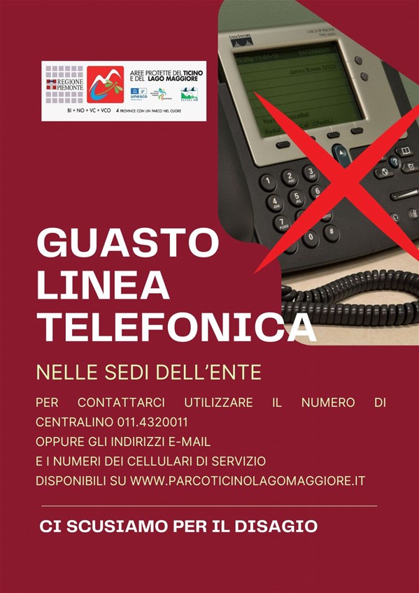 guasto telefono
