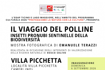 "IL VIAGGIO DEL POLLINE: INSETTI PRONUBI, SENTINELLE DELLA BIODIVERSITÀ" - Visitabile tutte le Domeniche dal 6 settembre al 27 settembre