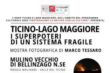 locandina Tessaro