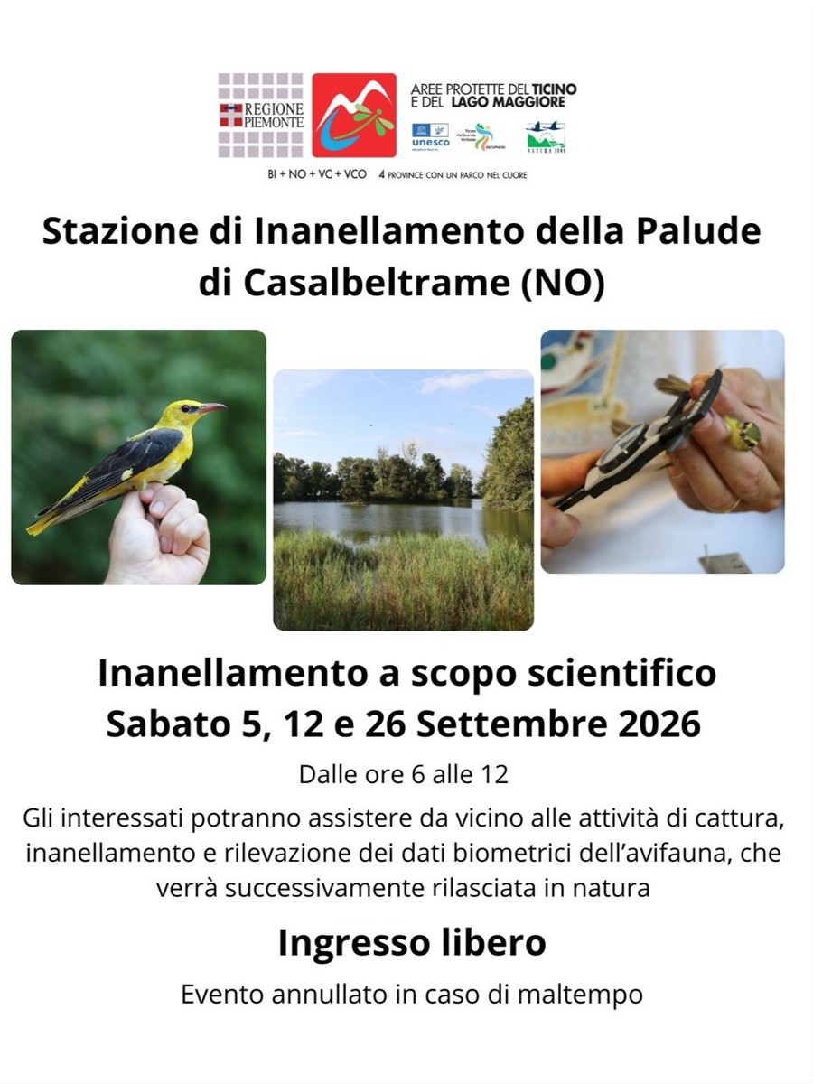 inanellamento settembre